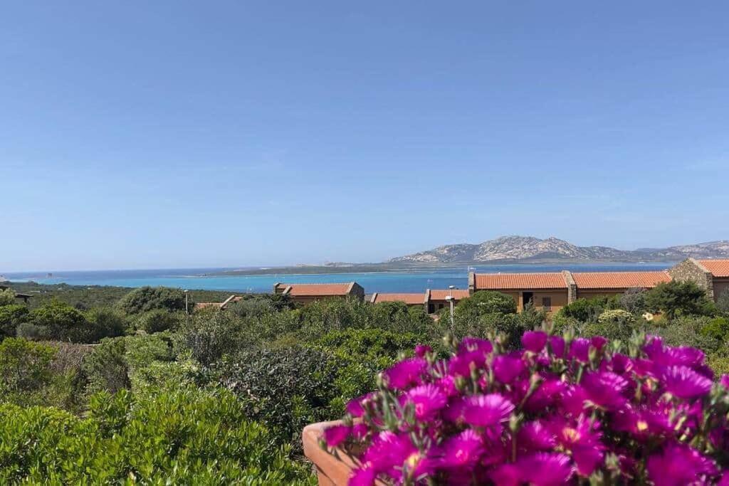 Terrazza Vista Mare Stintino Apartment Luaran gambar