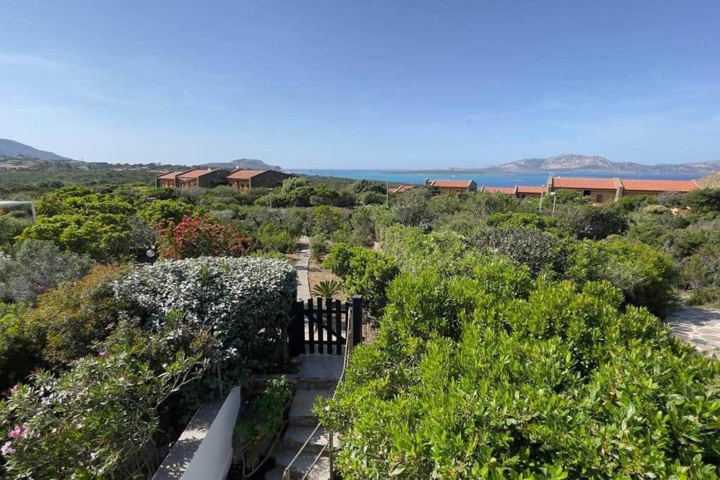 Terrazza Vista Mare Stintino Apartment Luaran gambar